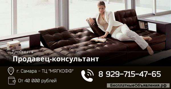 Продавец-консультант