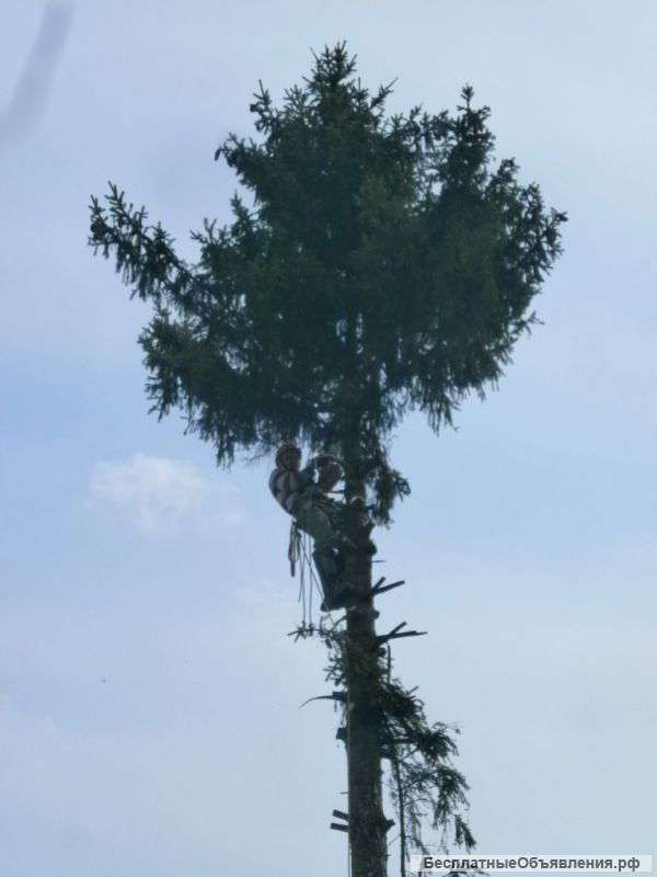 Удаление деревьев