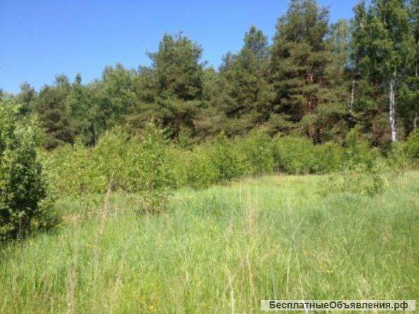 Участок 14 соток д. Дергаево