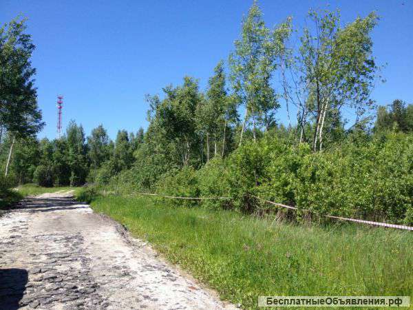 Участок 9 соток с. Игумново