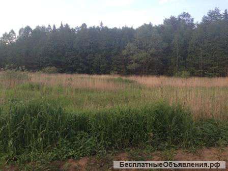 Участок 31 сотка КП Елкино