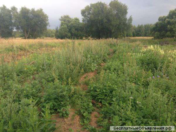 Участок 13 соток д. Меткомелино