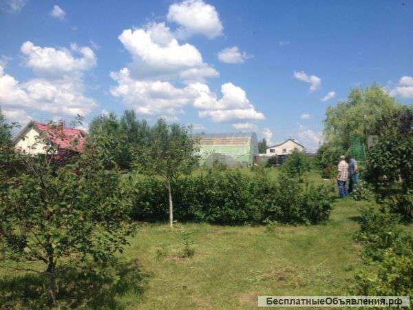 Участок 10 соток д. Петровское