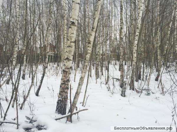 Участок 8 соток СНТ Пушкино