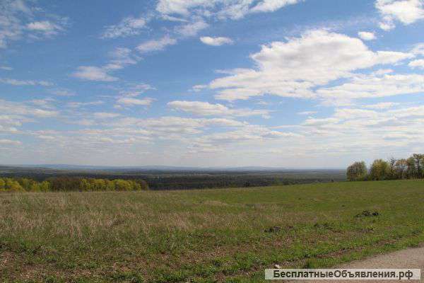 Участок в заповедной зоне, ДНТ "Родники"