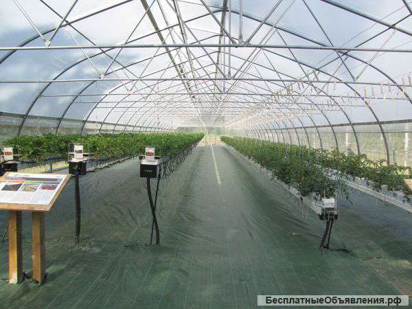 Пленка для теплиц PATILUX