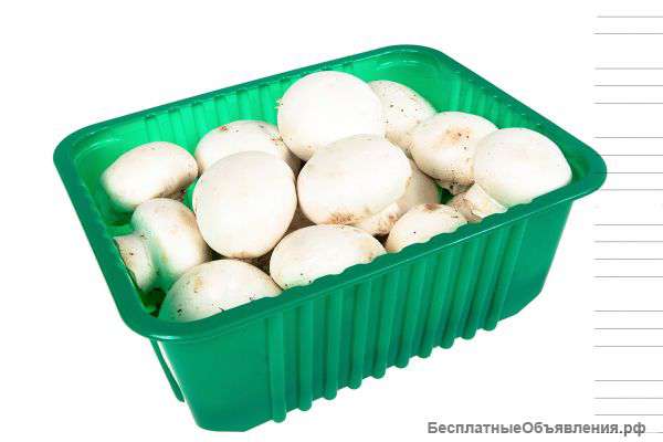 Лотки для грибов от производителя