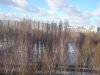 3х комн квартира