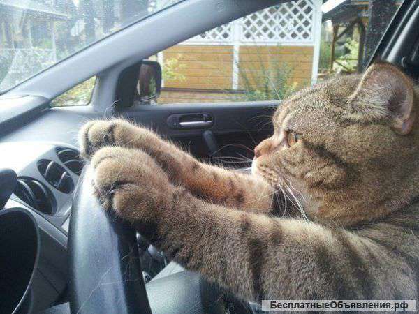 Переезды вывоз доставка