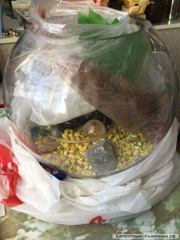 Круглый аквариум Россия