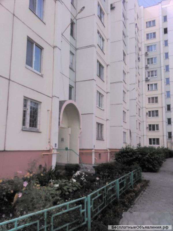 1 комнатную квартиру 40 м2