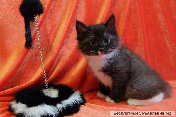 Девочки-курилочки