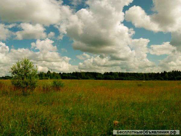 Участок 53.7 га. С/х в Тверской области.