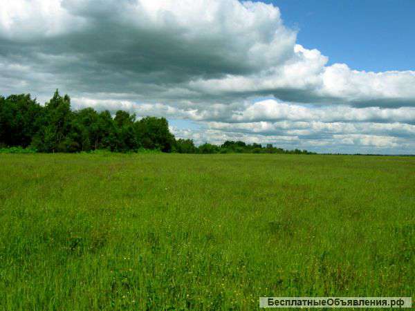 Участок 77.7 га. С/х в Тверской области.