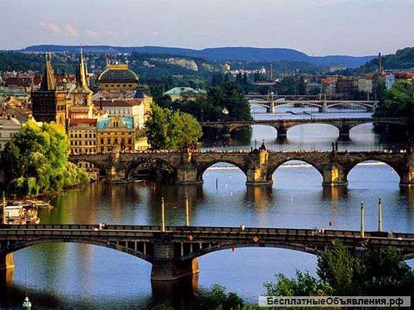 Летние курсы чешского языка