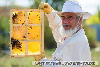 Мёд и все продукты пчеловодства