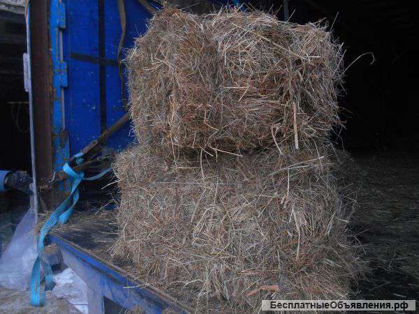 Сено