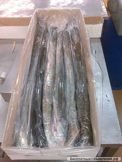 Купить икру,краб,угорь копченый и др.Москва опт.