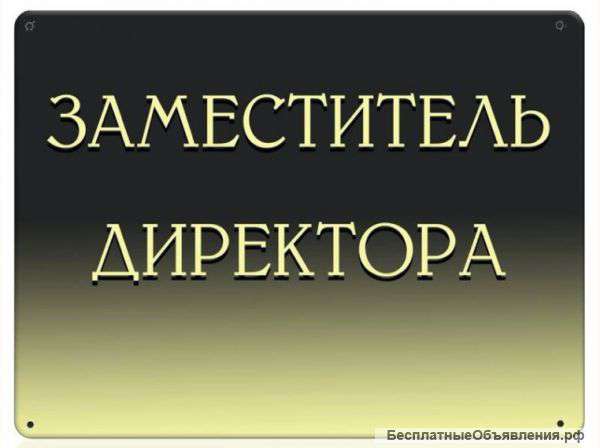 Требуется заместитель директора
