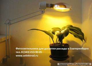Лампы для растений ДНаЗ, тепличные светильники ЖСП, индукционные лампы