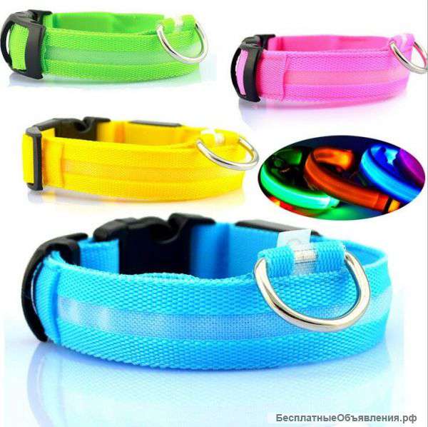 Светящиеся ошейники для собак