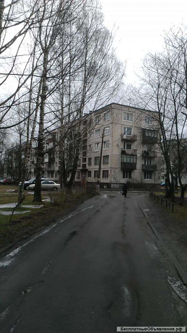 Квартиру