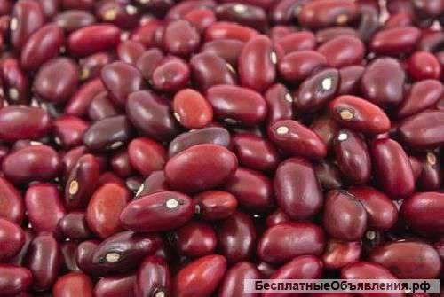 Красная фасоль