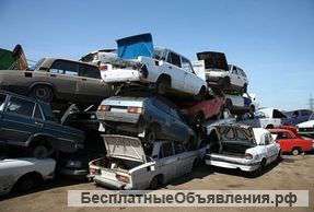 Утилизация автомобилей по Гос. программе.