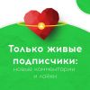 Эффективное продвижение Инстаграм аккаунтов