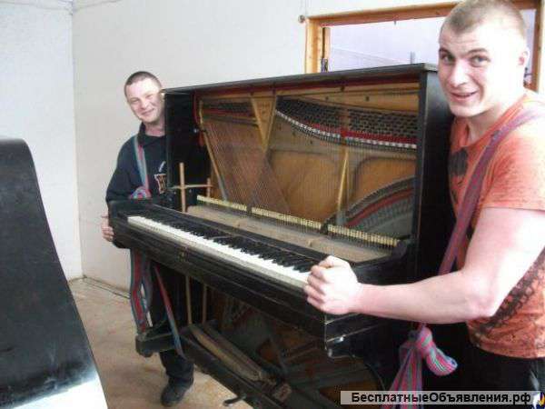 Грузчики вам в помощь Разнорабочие