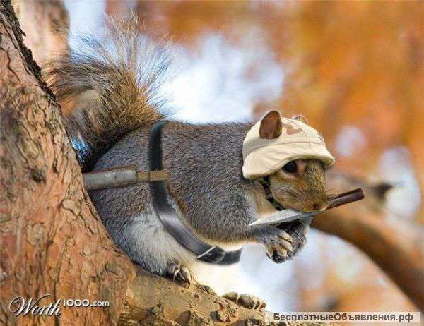 Перевозчик