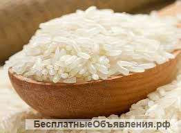 Закупаем Рис