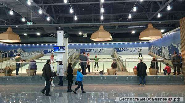 Горнолыжный тренажёр Proleski: горные лыжи круглый год, франшиза