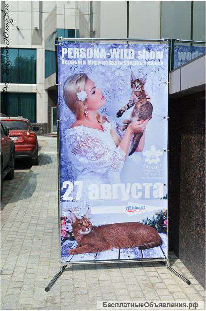 Пресс волл (Press Wall)