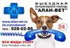 Ветврач на дом