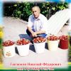 Реализую рассаду суперкрупноплодной клубники