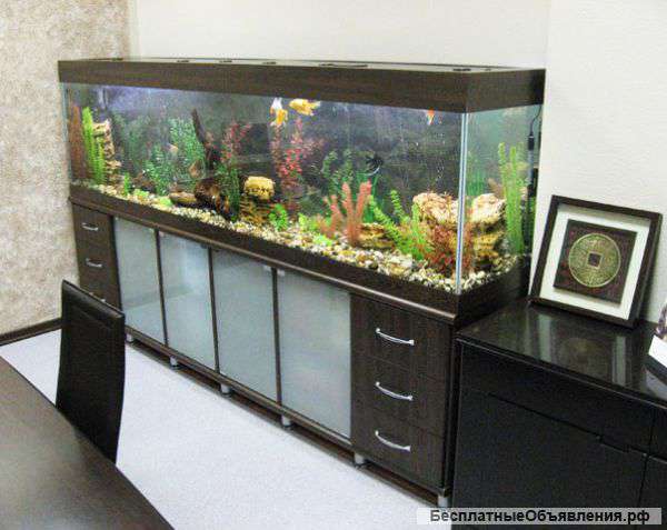 Профессиональное обслуживание вашего аквариума