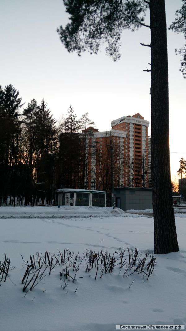 Квартира в элитном доме Зеленограда
