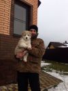 Курьер