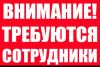 Набор сотрудников