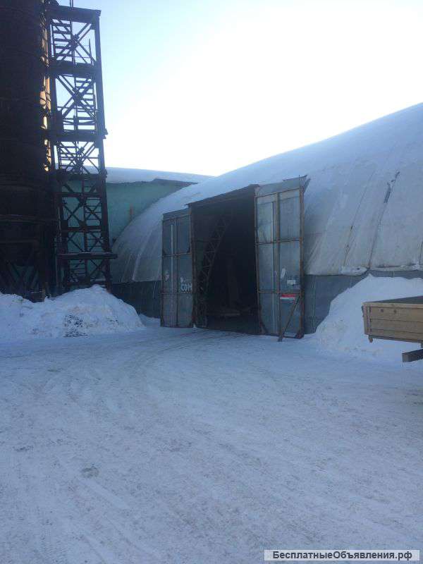 Сдам в аренду