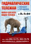 Ремонт гидравлических тележек (РОХЛИ)
