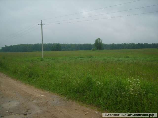 Участок в д. Пахомьево. ЛПХ, подключен свет. Рядом лес, река