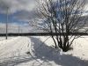 Участок 6 соток