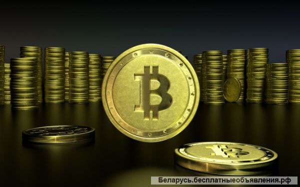 Бизнес инвестиции