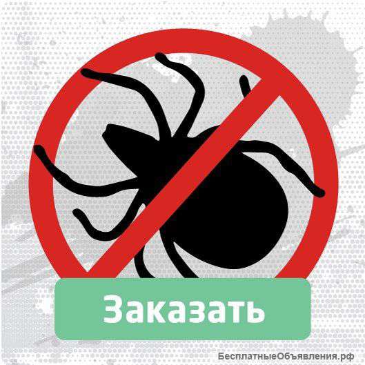 Санобработка от тараканов и клопов