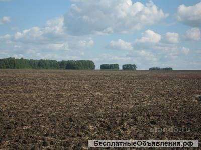 Сдам в аренду возможно с правом выкупа 112,8 гектаров земли