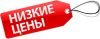 Детский центр развития