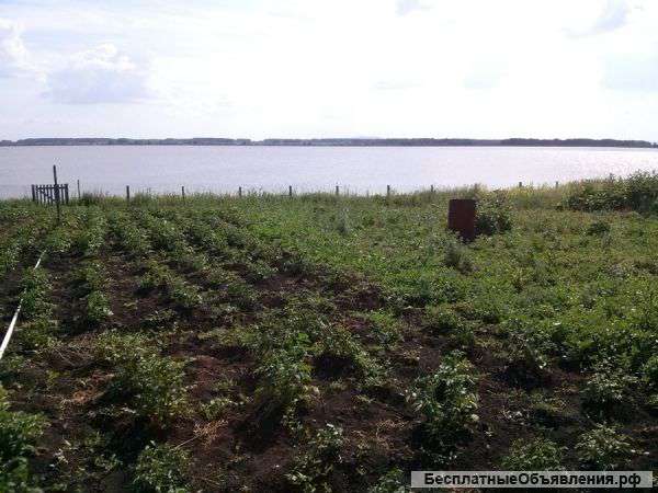 Участок в деревне, на берегу озера