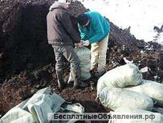 Предлагаем универсальное средство - конский навоз